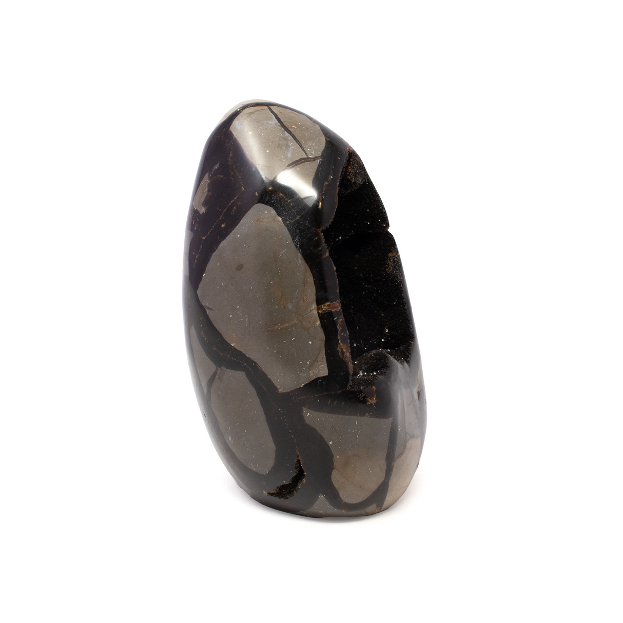 Septarian Druze Geode Freeform Egg with Cut Base from Madagascar