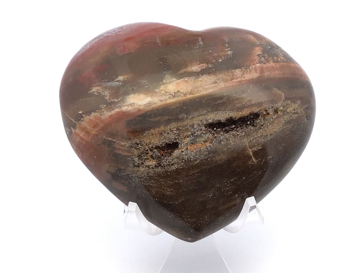 View of Madagascar Petrified Wood Heart with Lucite Stand