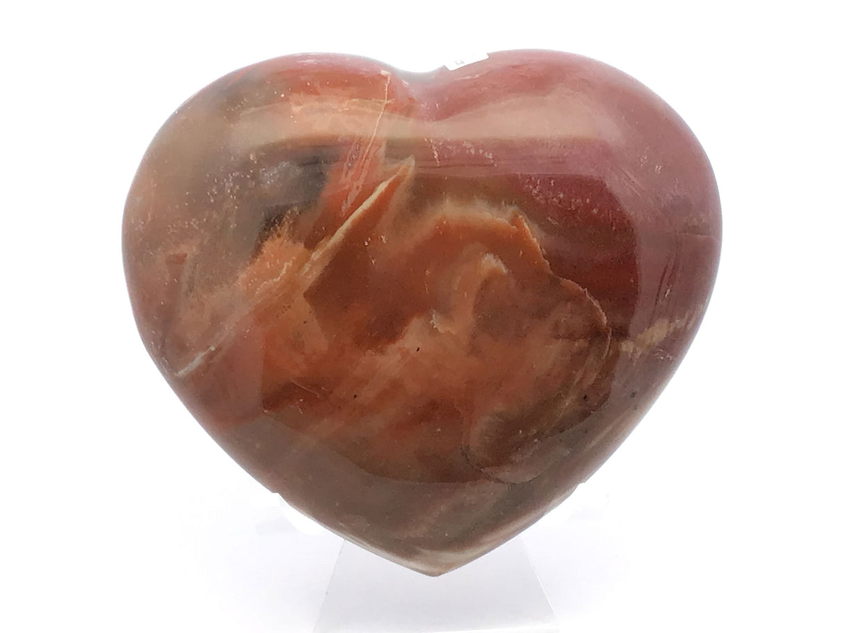 View of Madagascar Petrified Wood Heart with Lucite Stand