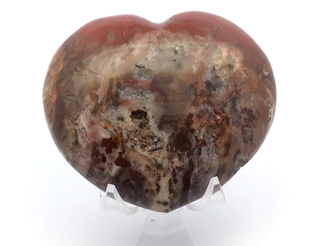 View of Madagascar Petrified Wood Heart with Lucite Stand - Beautiful Crystalization