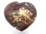 View of Madagascar Petrified Wood Heart with Lucite Stand