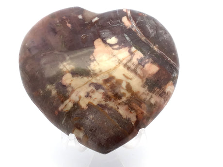 View of Madagascar Petrified Wood Heart with Lucite Stand
