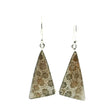 View of Fossilized Coral Dangle Earrings - Triangular Cabochon Bezel Set in Simple 925 Sterling Silver