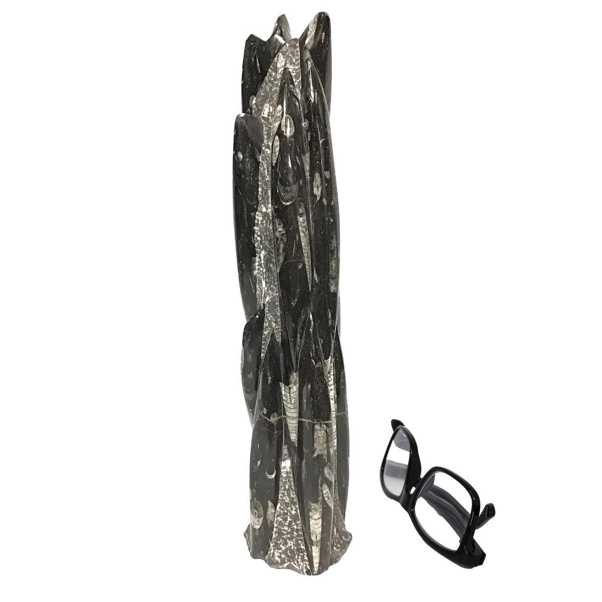 Orthoceras Fossil Sculpture from Morocco