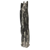 View of Orthoceras Fossil Sculpture from Morocco