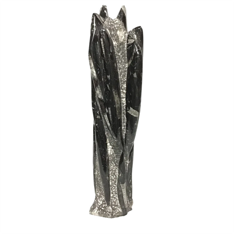 View of Orthoceras Fossil Sculpture from Morocco