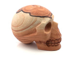 Desert Sandstone Skull Carving