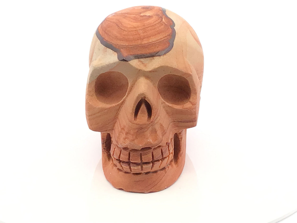 View of Desert Sandstone Skull Carving