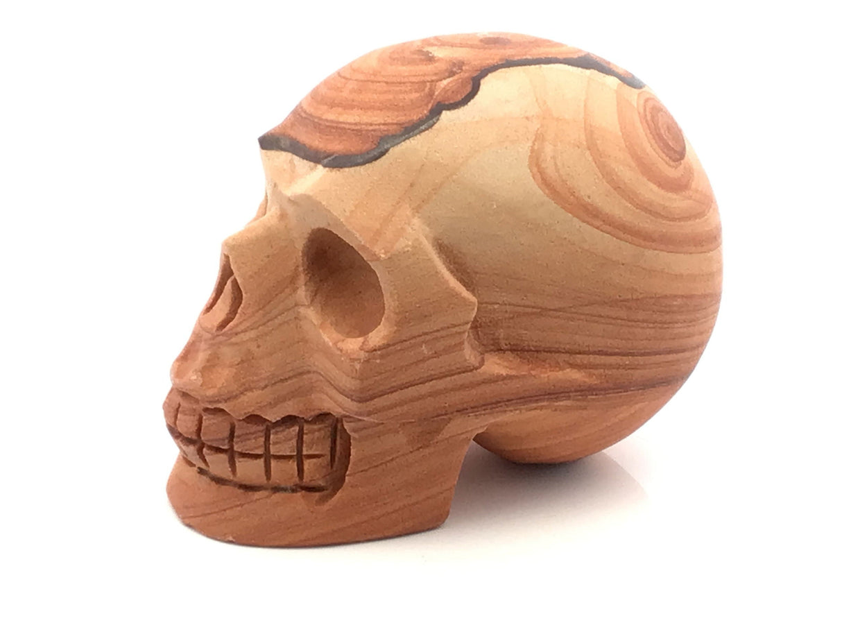 Desert Sandstone Skull Carving