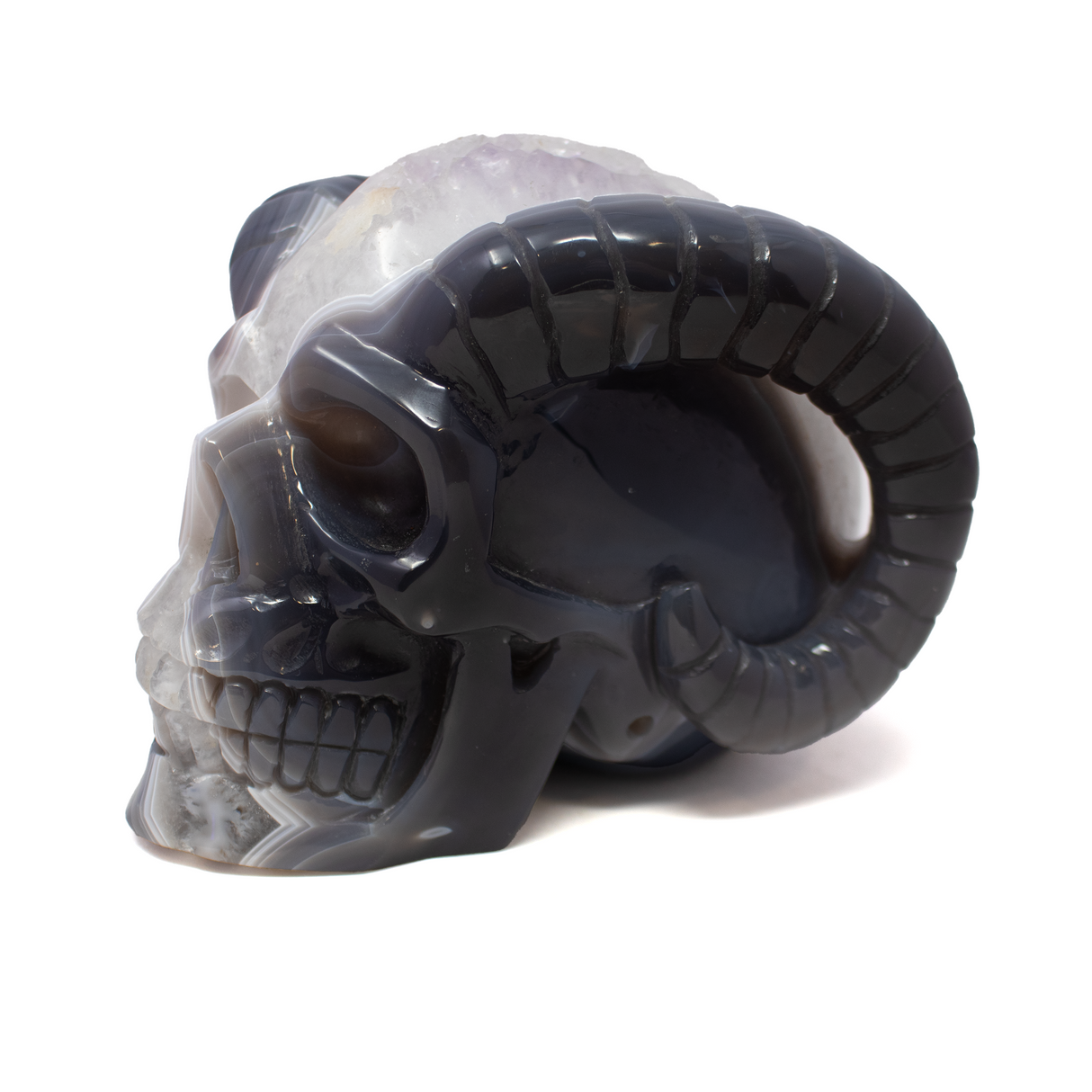 Agate Druze Geode Skull Carving with Horns