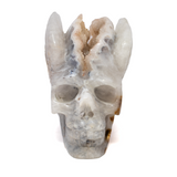 View of A+ Agate Geode Druze Skull Carving with Wings