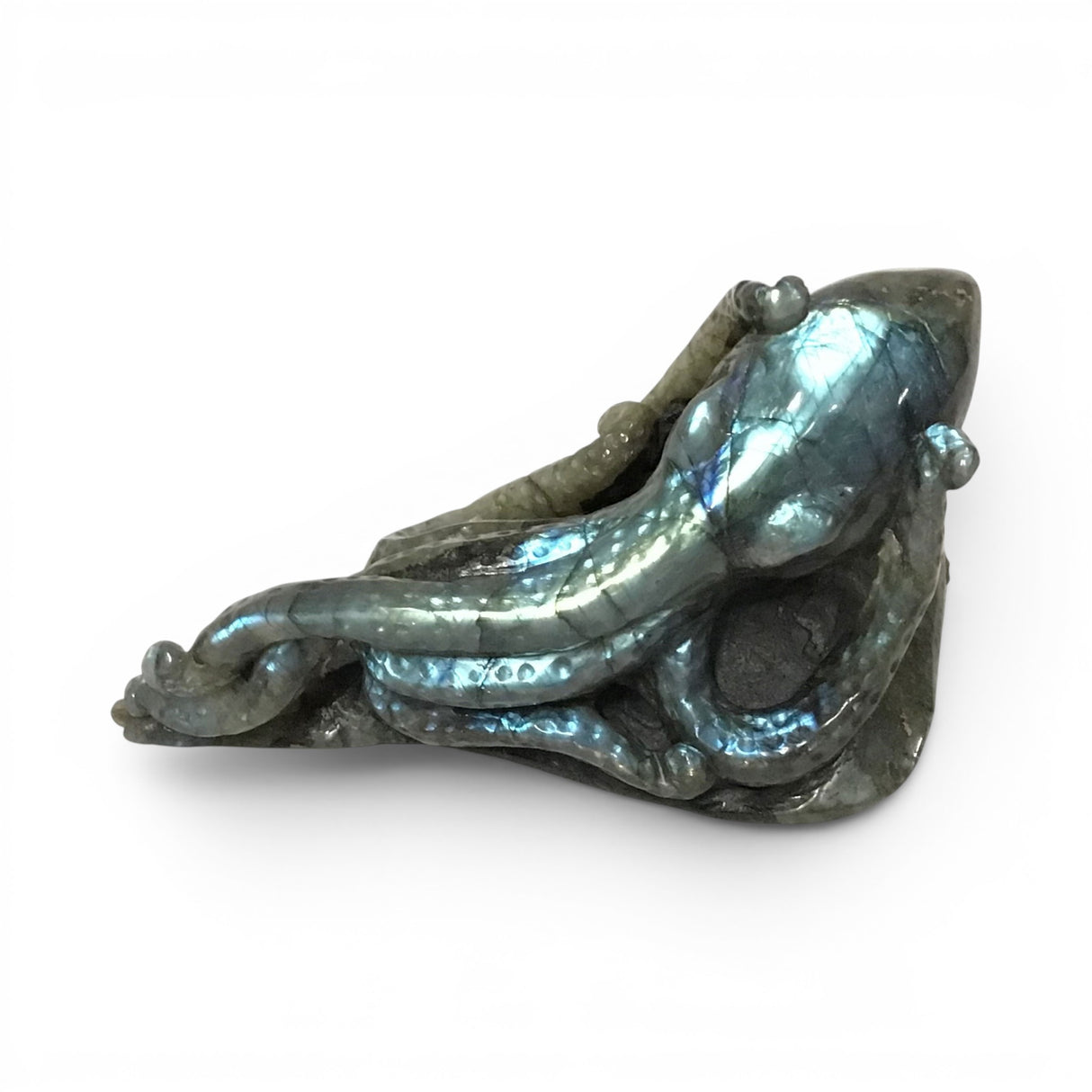 View of A+ Labradorite Octopus Carving