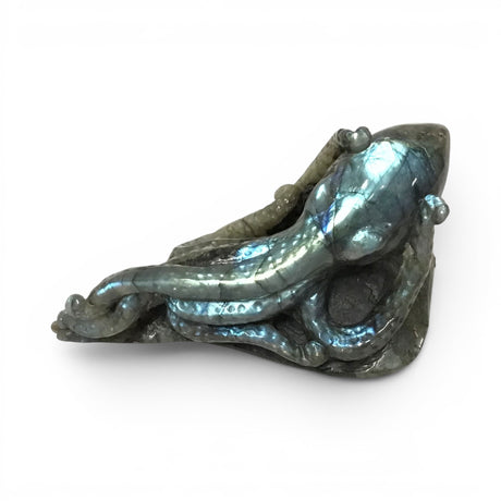 View of A+ Labradorite Octopus Carving