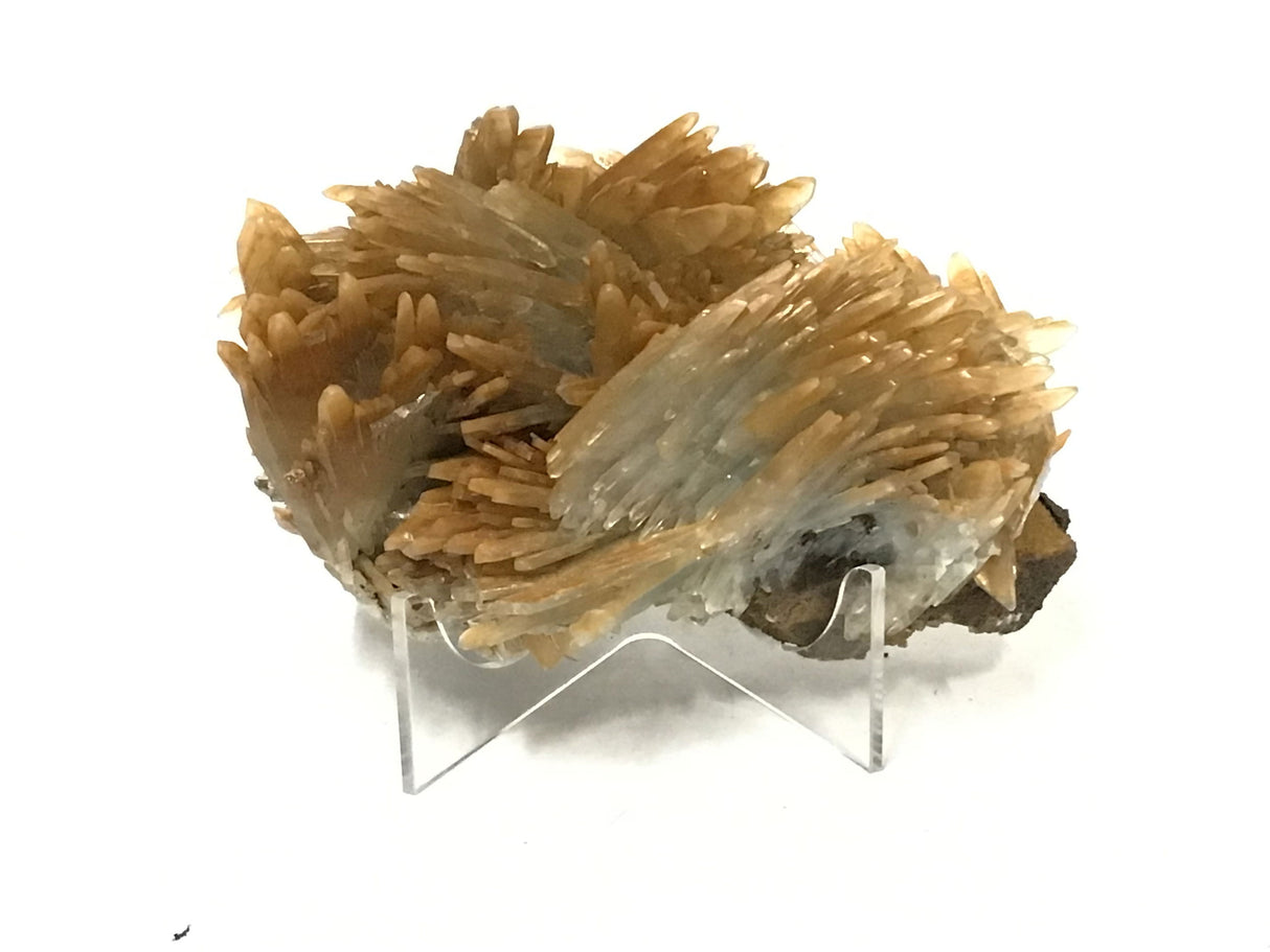 View of A+ Gold & Blue Barite + Azurite Matrix  on Lucite Stand From Morocco