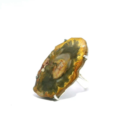 View of Madagascar Petrified Wood Slice Ring - Polished Oval with Green & Brown & Red Hues Prong Set in 925 Sterling Silver szAdj