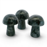 View of Larvikite Mini Mushroom Carving