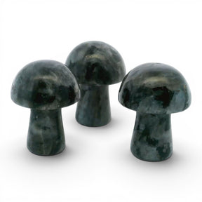 View of Larvikite Mini Mushroom Carving