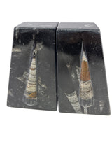 Orthoceras Fossil Bookends in Black Seabed - Trapezoid