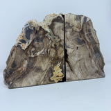 Saddle Mountain Sequoia Petrified Wood Bookends - Browns
