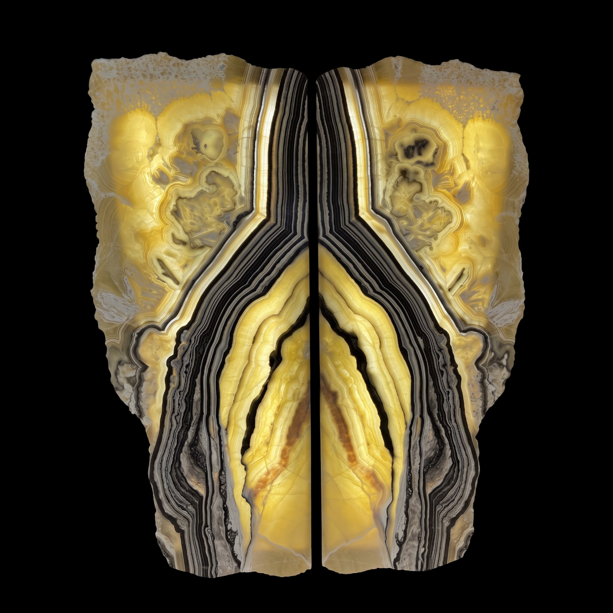 Rare Earth Gallery book-matched zebra onyx wall panel pair with live edges and backlit golden and black veining.