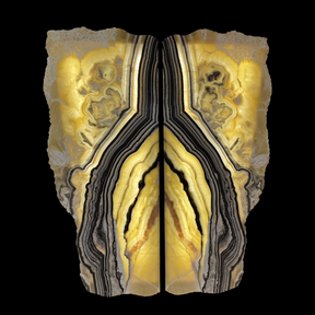 Rare Earth Gallery book-matched zebra onyx wall panel pair with live edges and backlit golden and black veining.