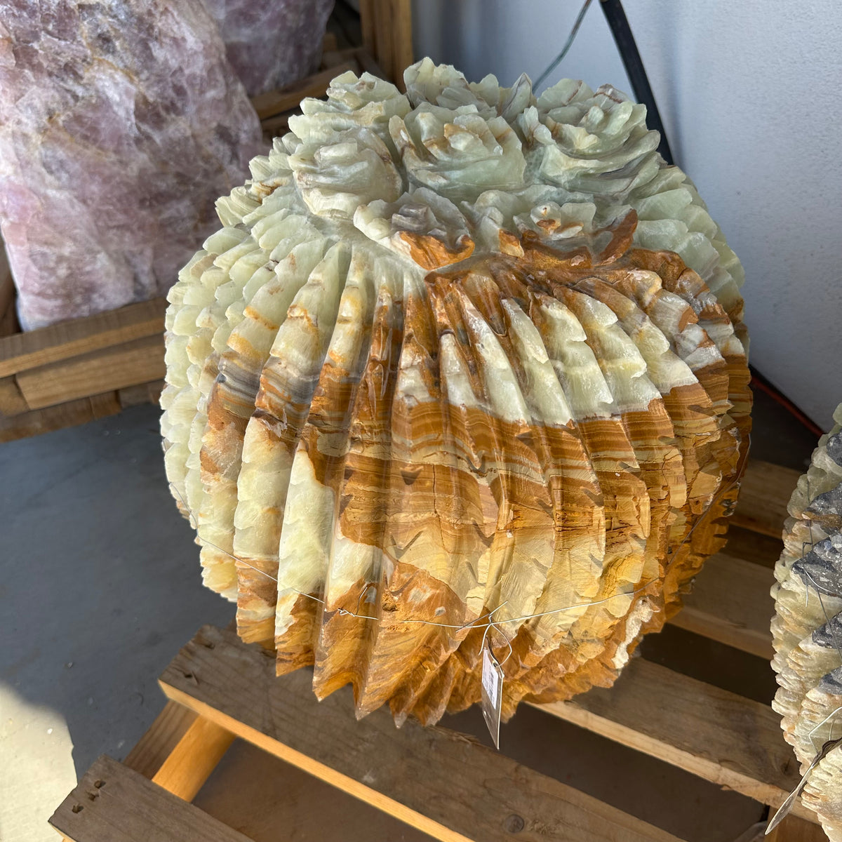 Green Talan barrel cactus sculpture with gray bands, carved ribs and rose-like crown on a wooden pallet