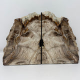 Saddle Mountain Sequoia Petrified Wood Bookends - Browns