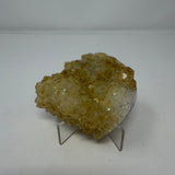 Polished Natural Citrine Crystal Stalactite Knobs on Lucite Stand