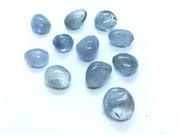 Eleven glassy tumbled celestine pebbles in pale sky blue on a white surface