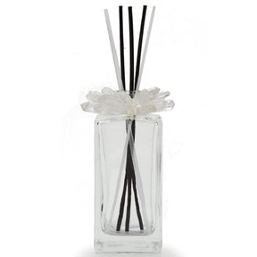Crystal scent diffuser front view, clear bottle topped with white quartz points and black-and-white reeds
