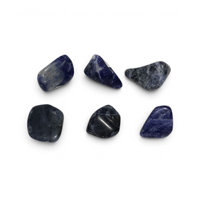 Six mini A+ tumbled sodalite stones in deep navy blue streaked with white calcite veining