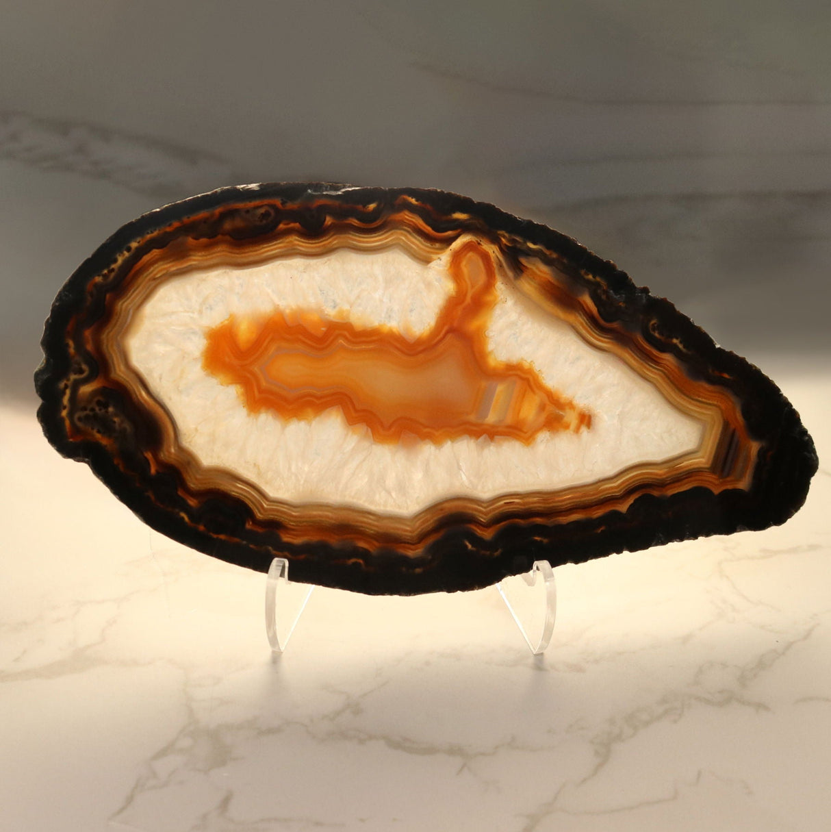 Agate Slice on Lucite Easel Stand - Heavy Chocolate Bands with Carmel Carnelian Center with Quartz Layer