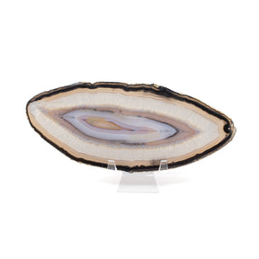 Agate slice with layered colors of beige, gray, and black on a clear lucite stand.