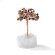 Multicolor tourmaline gemstone crystal tree with pink and green chips on white quartz base