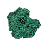 Chatoyant Fibrous Malachite Specimen - Flat with Flowers on Lucite Stand