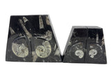 Ammonite and Orthoceras Fossil Bookends in Black Seabed - Trapezoid