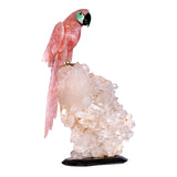 Rose Quartz Macaw with Amazonite Heart Cheeks on Quartz Cluster with Black Base
