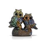 Labradorite Carving - Owl Duet with Rainbow Flash