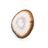 Agate Slice On Lucite Stand