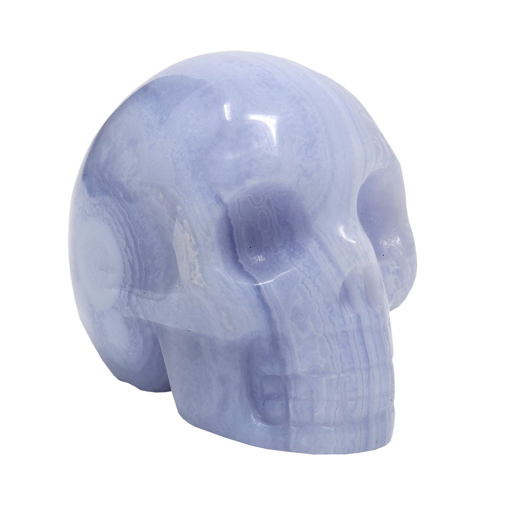 Blue Lace Agate Skull