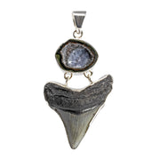 Megalodon shark tooth pendant with sparkling druzy geode in silver bezel