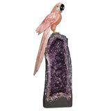 Rose Quartz Macaw with Aquamarine Cheeks on Amethyst Cathedral with Calcite Inclusion