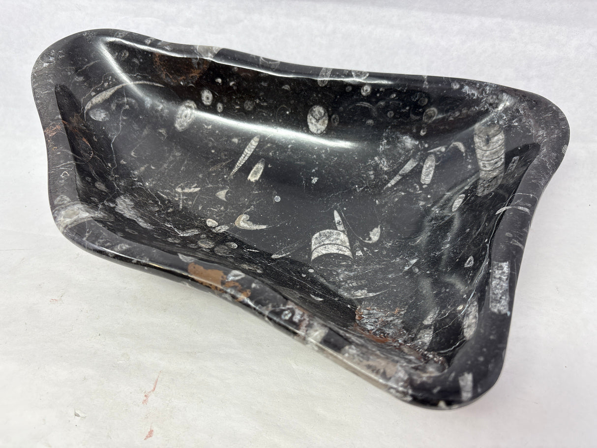 Orthoceras Fossil Bowl in Black Seabed - Freeform Triangle