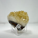 Polished Natural Citrine Crystal Stalactite Knobs on Lucite Stand