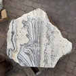 Freeform zebra onyx fountain stone from above, cream surface with charcoal stripes and porous pitted areas