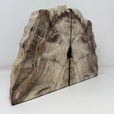 Saddle Mountain Sequoia Petrified Wood Bookends - Browns