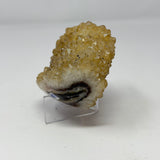 Polished Natural Citrine Crystal Stalactite Knobs on Lucite Stand