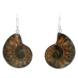 Boucles d'oreilles Ammonite - Paire