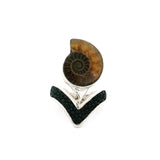 Bague fossile d'ammonite avec flèche en peau de raie avec lunette en argent taille 7