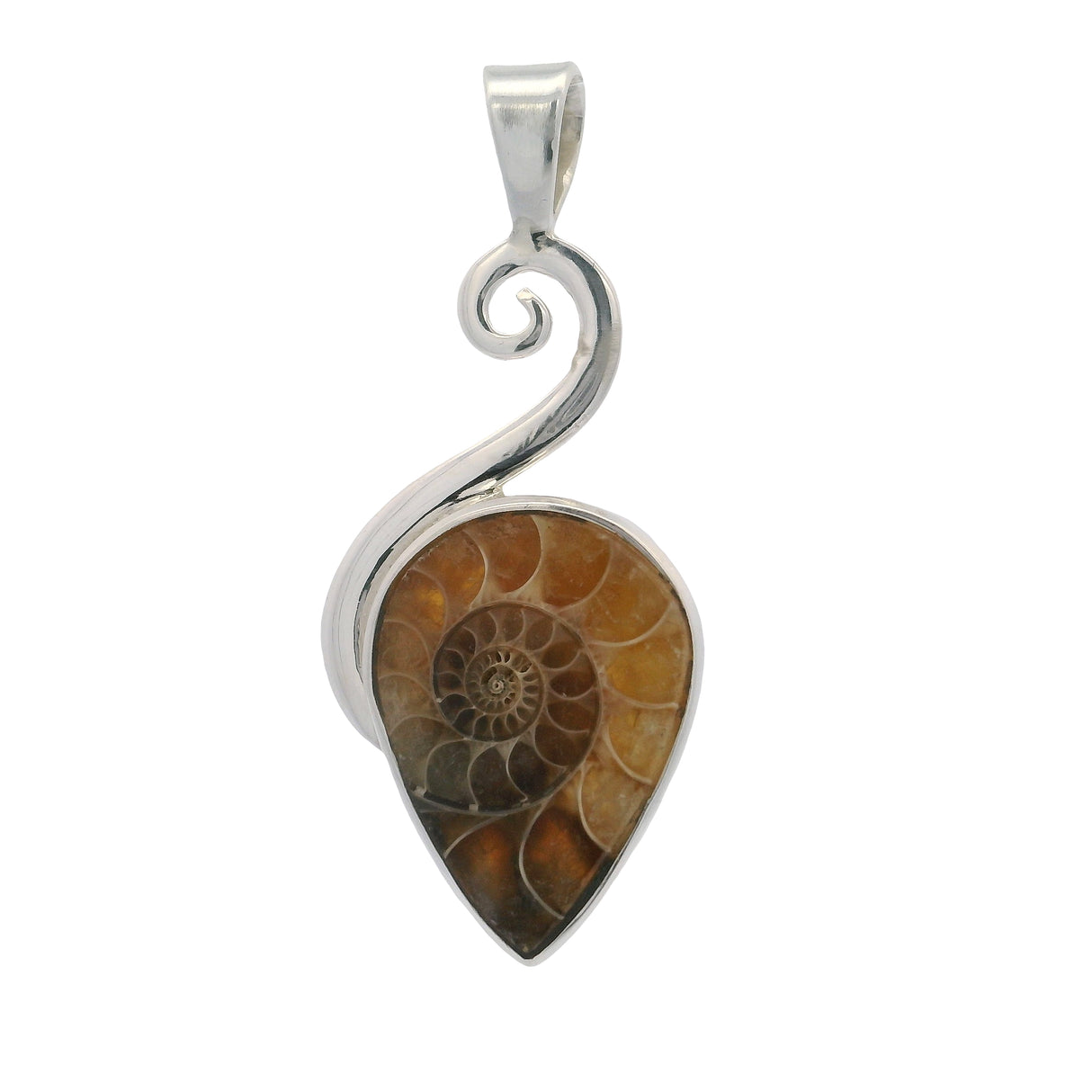 Ammonite Pendant Bezel Set in Swirl with 925 Sterling Silver
